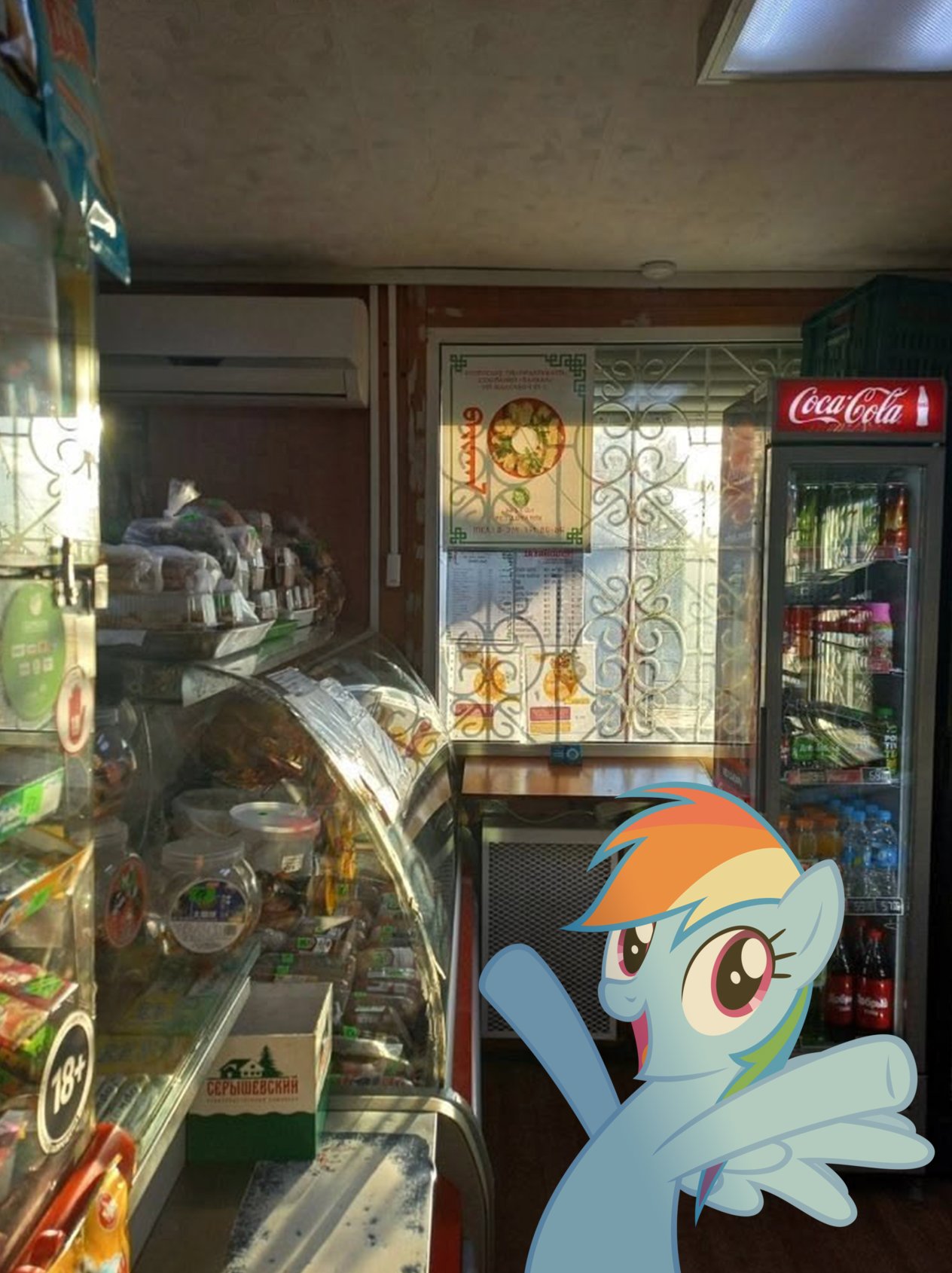Rainbow Dash in corner shop
