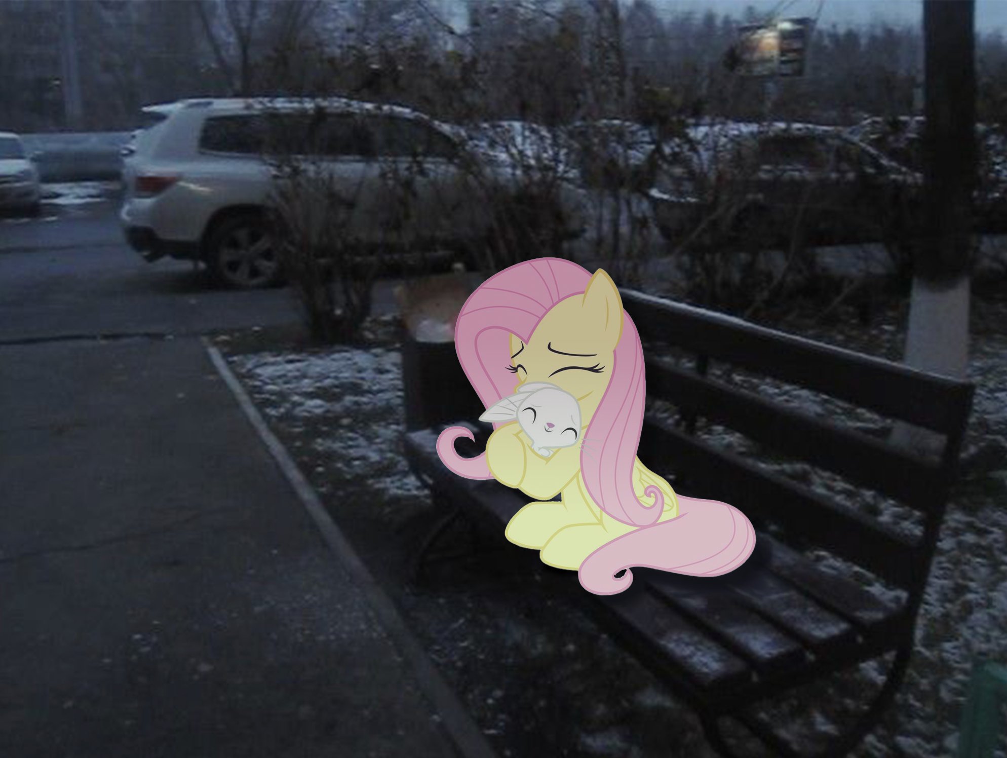 Fluttershy on a snowy bench