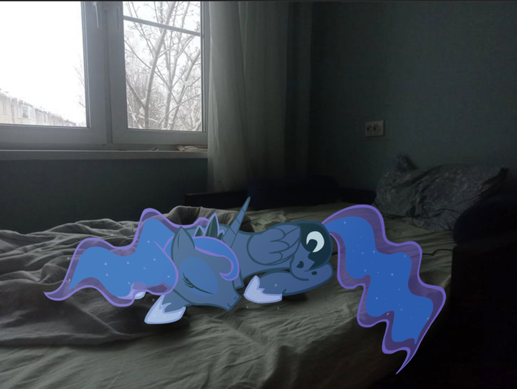 Luna sleeping on a bed