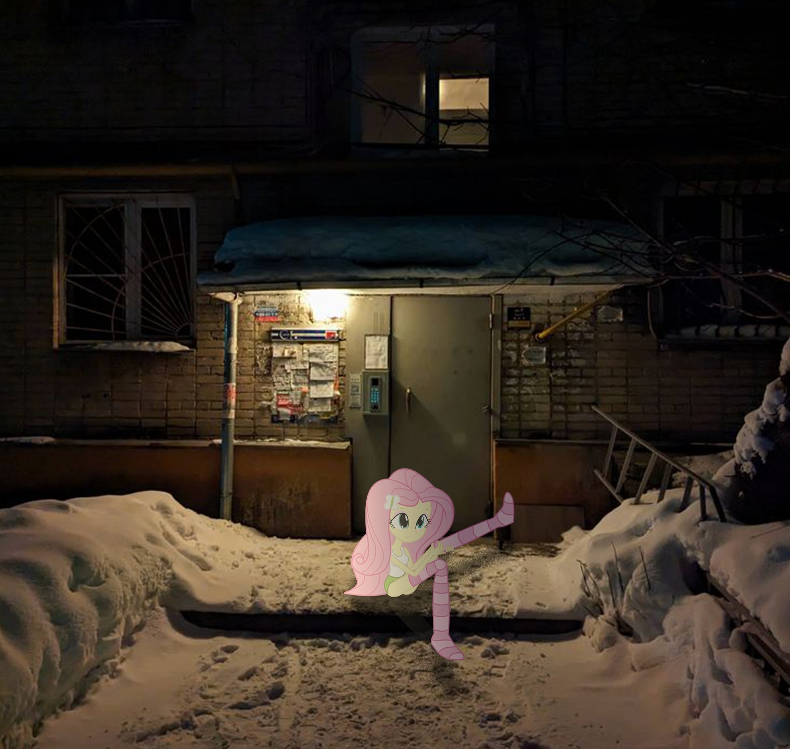 Fluttershy at snowy door