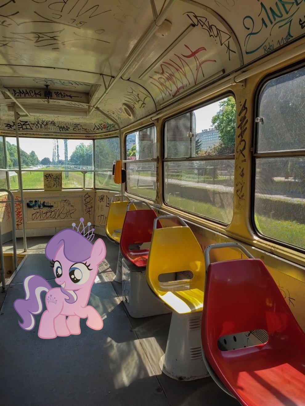Diamond Tiara on tram