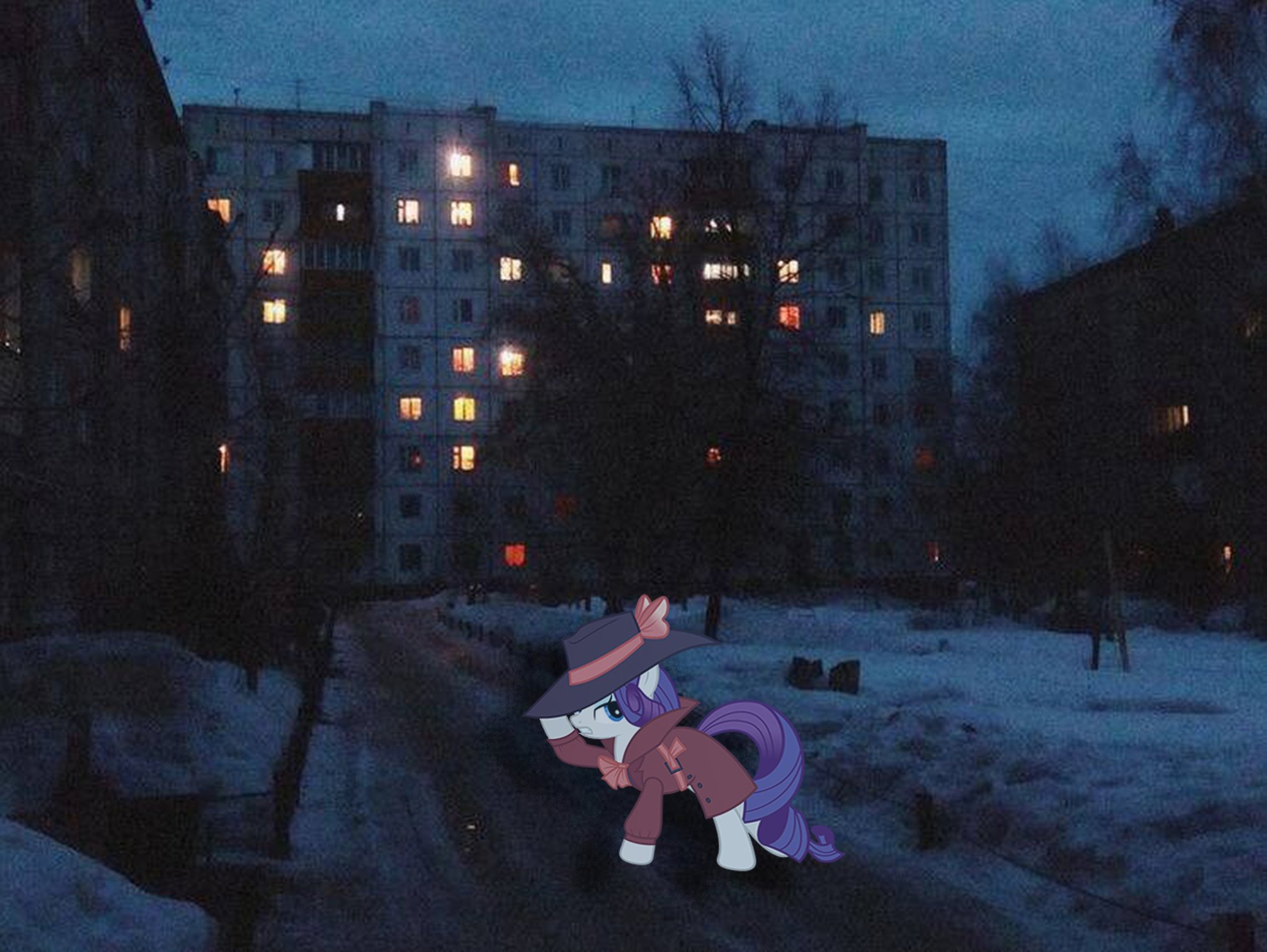 Rarity in a snowy courtyard